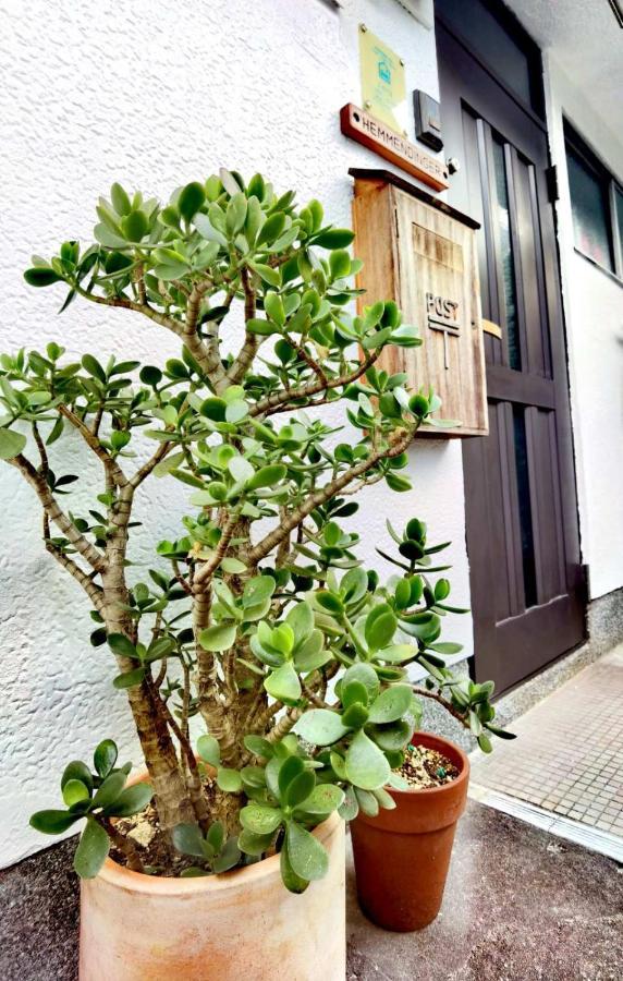 إيزوميسانو Bighem Maison المظهر الخارجي الصورة